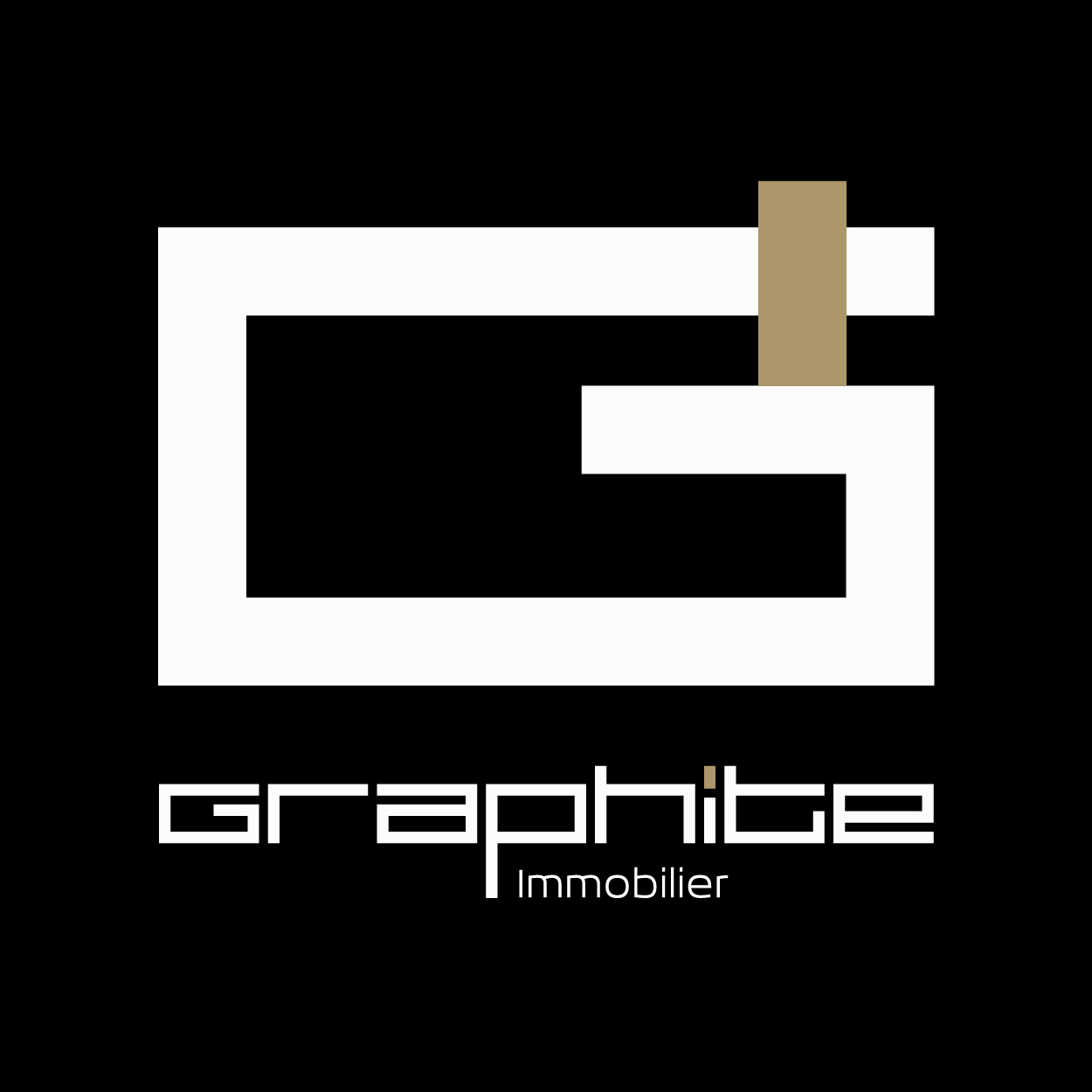 Graphite Immobilier